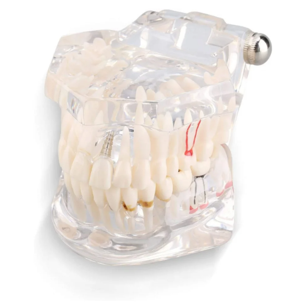 f526840b3d366dbbd95ae0c2860e7d40 f526840b3d366dbbd95ae0c2860e7d40